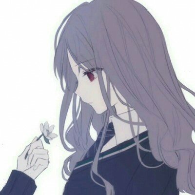 美存储概念股集体大涨